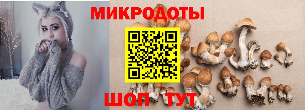Псилоцибиновые грибы MAGIC MUSHROOMS  Вход с VPN  Будённовск 